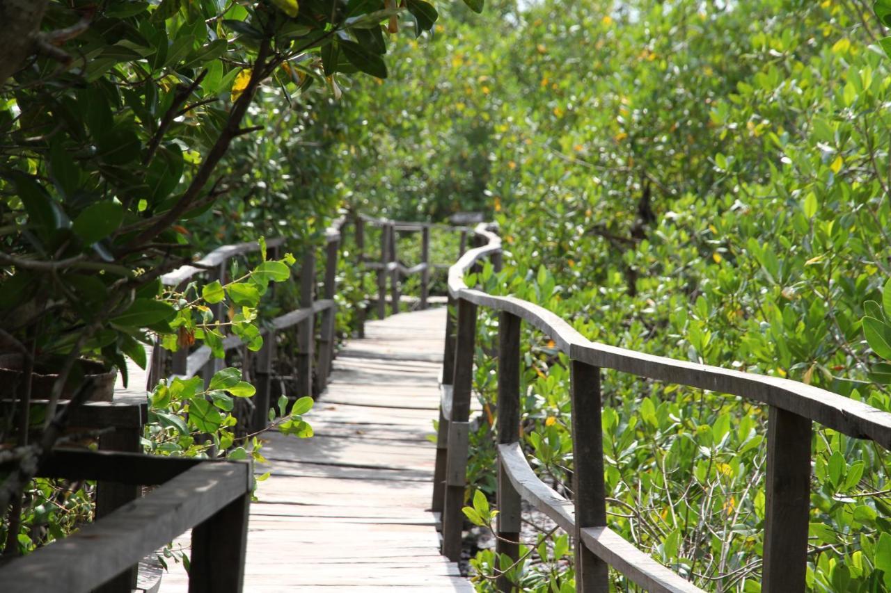 Bintang Bolong Lodge Ngoại thất bức ảnh