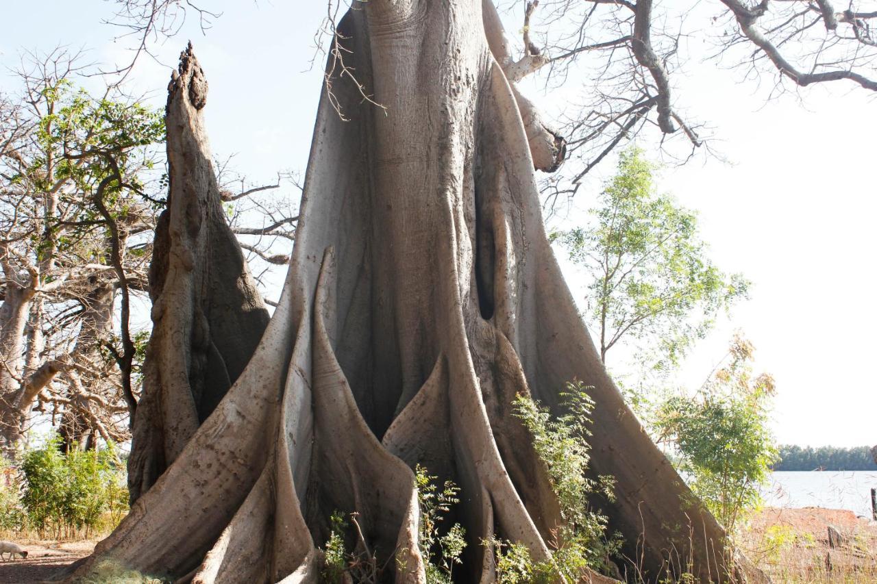 Bintang Bolong Lodge Ngoại thất bức ảnh