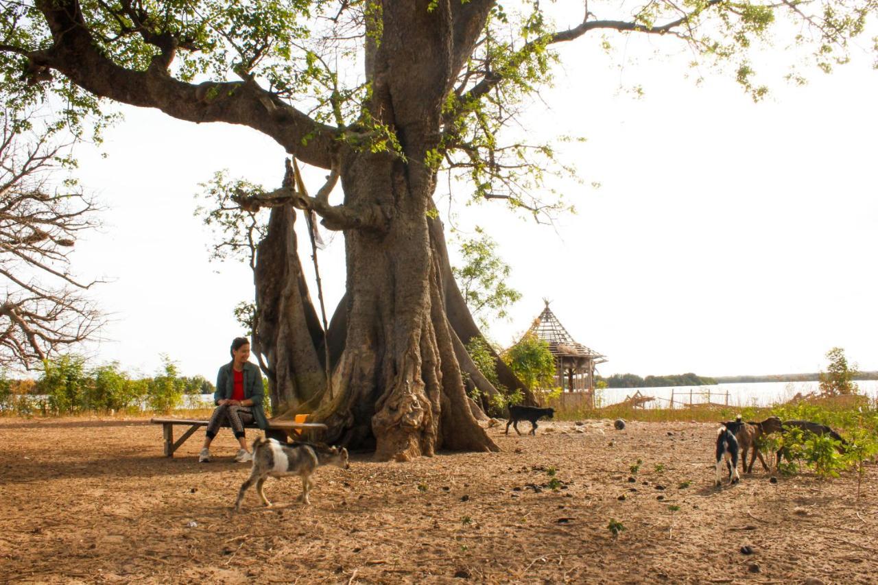 Bintang Bolong Lodge Ngoại thất bức ảnh