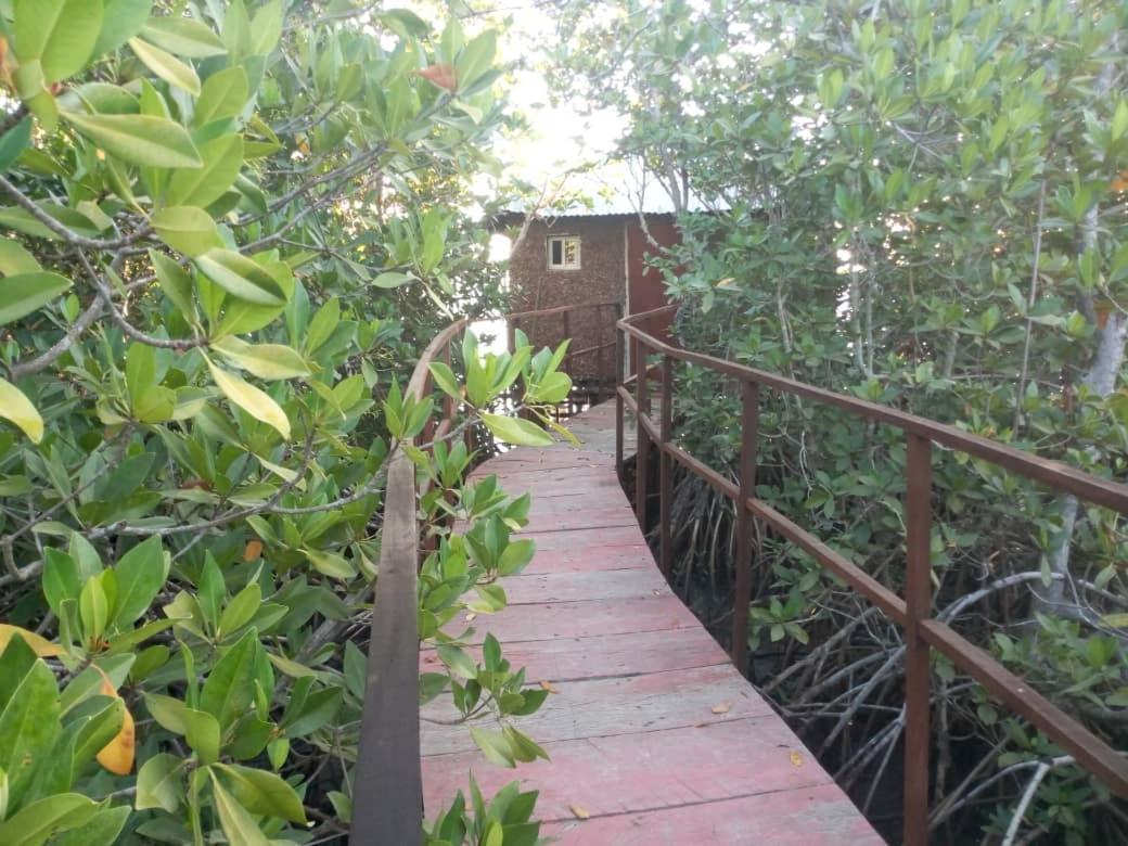 Bintang Bolong Lodge Ngoại thất bức ảnh